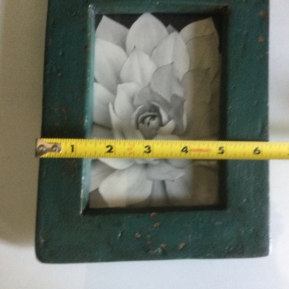 Rustic Green Frame With Black & White Succulent Print - Picture 5 of 5